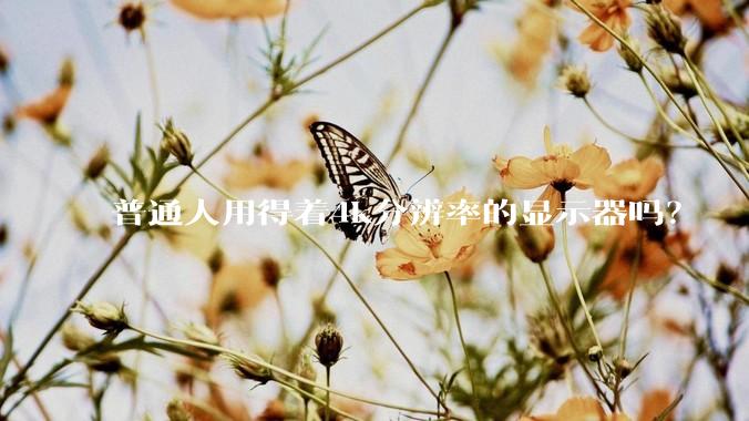 普通人用得着4k分辨率的显示器吗？