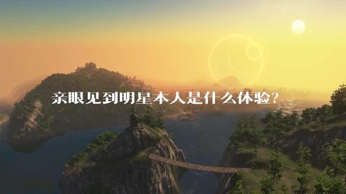 亲眼见到明星本人是什么体验？