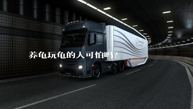 养龟玩龟的人可怕吗？