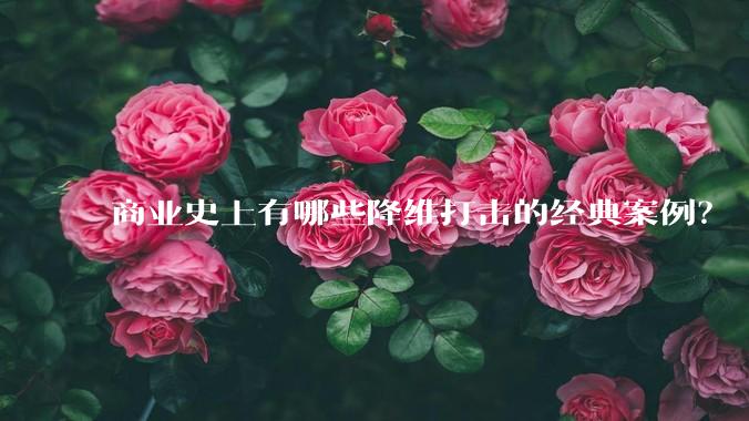 商业史上有哪些降维打击的经典案例？
