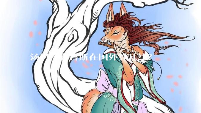 汤姆·克鲁斯在国外算几线？