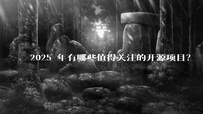 2025 年有哪些值得关注的开源项目？