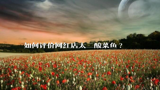 如何评价网红店太二酸菜鱼?