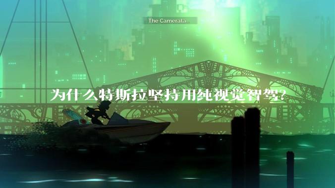 为什么特斯拉坚持用纯视觉智驾？