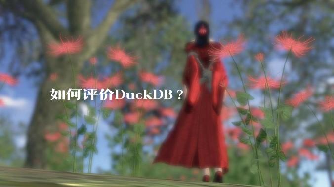 如何评价DuckDB?