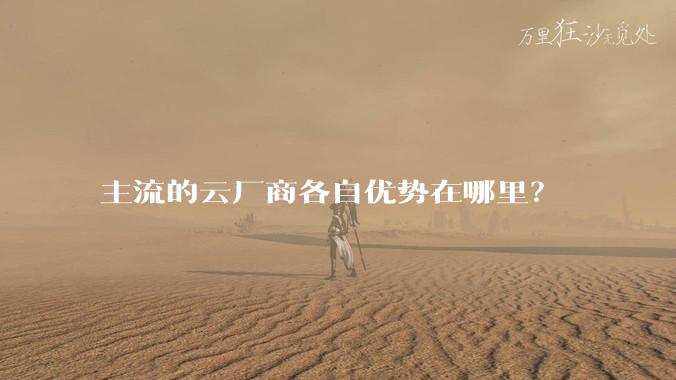 主流的云厂商各自优势在哪里？