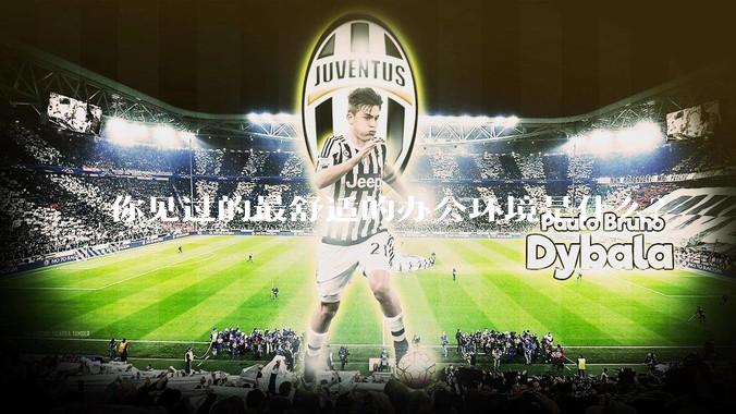 你见过的最舒适的办公环境是什么？