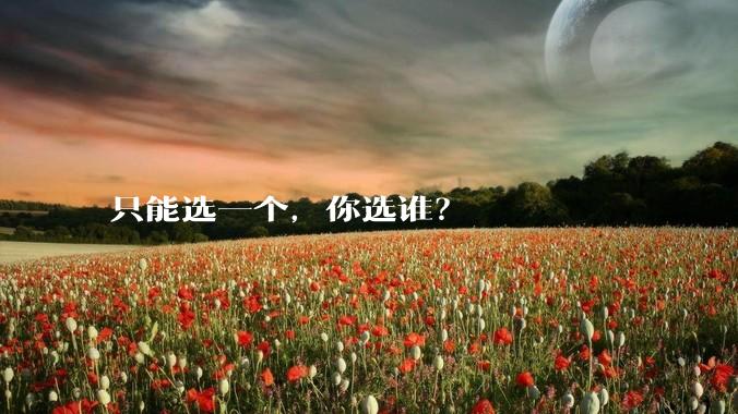 只能选一个，你选谁？