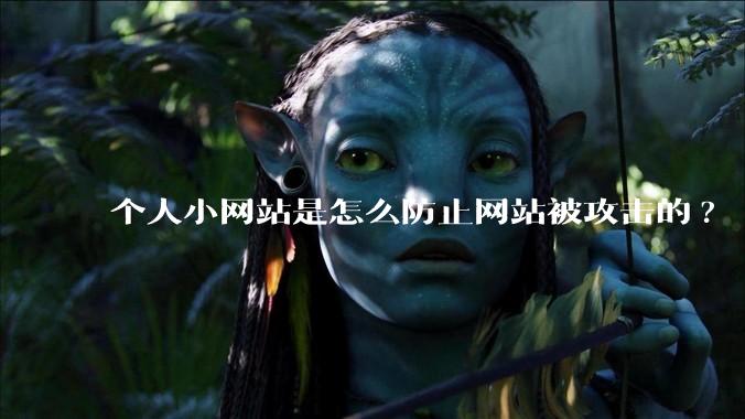 个人小网站是怎么防止网站被攻击的?