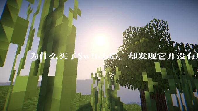为什么买了Switch后，却发现它并没有那么好玩？