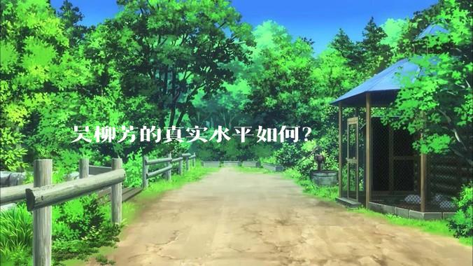 吴柳芳的真实水平如何？