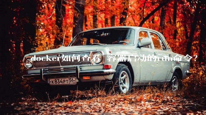 docker如何查看 容器启动的run命令？