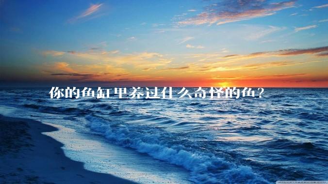 你的鱼缸里养过什么奇怪的鱼？