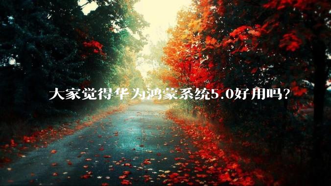 大家觉得华为鸿蒙系统5.0好用吗？