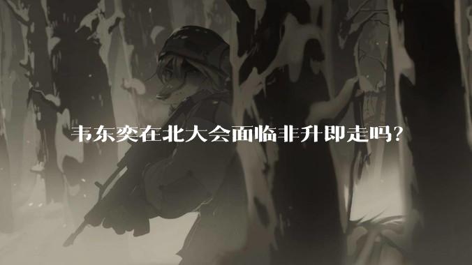韦东奕在北大会面临非升即走吗？